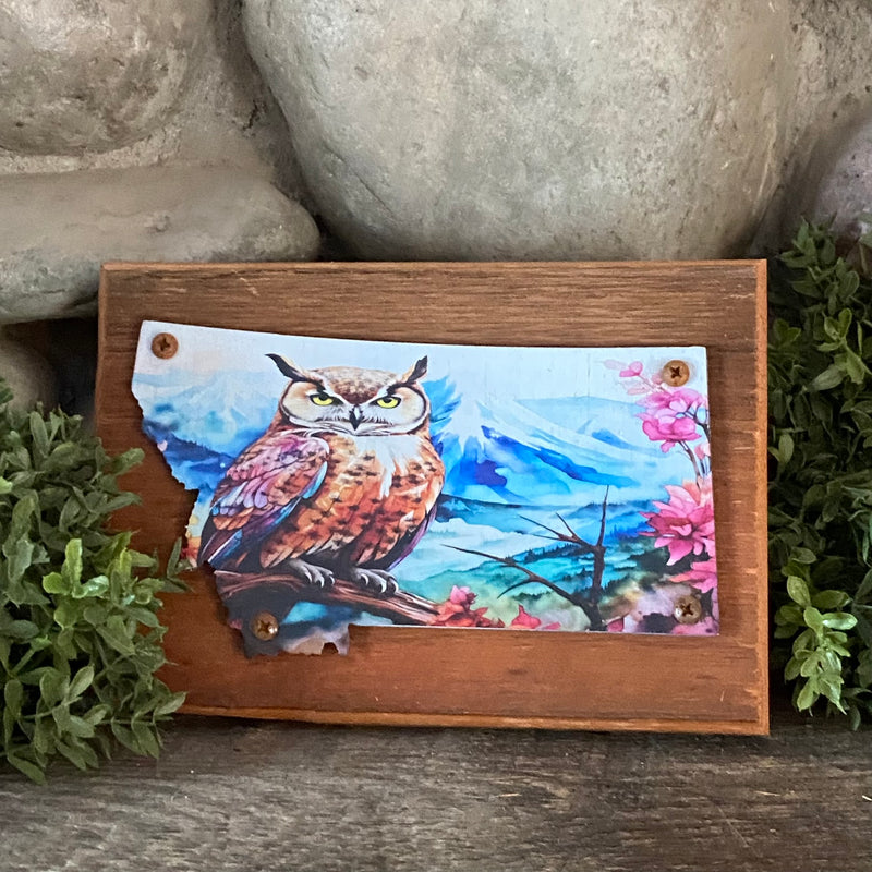 Montana Owl Plaque