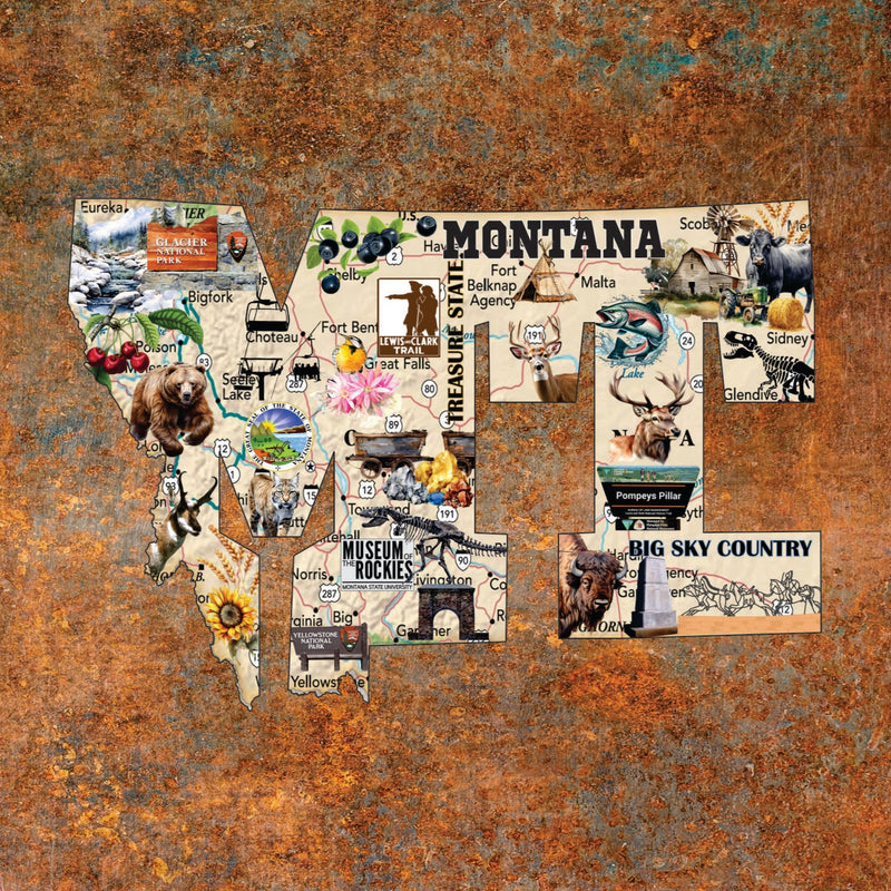 Montana Grizzly Encounter