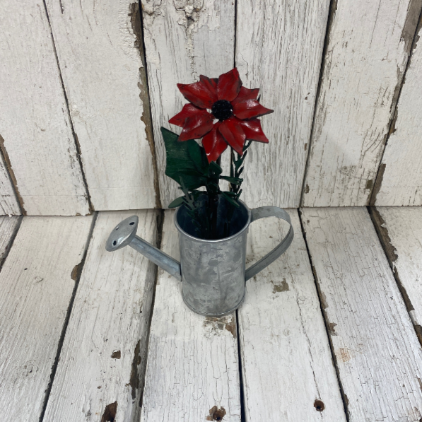 Poinsettia in a Mini Watering Can