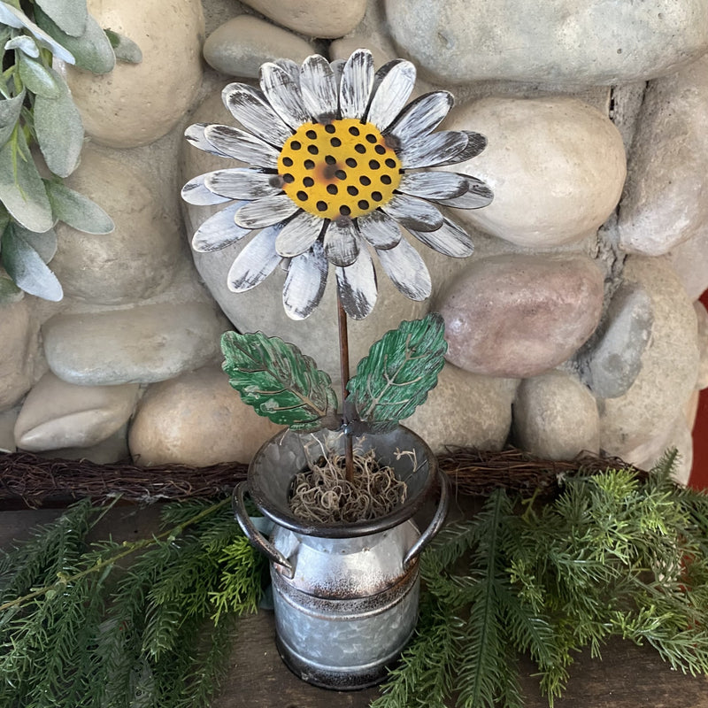 Large Single Stem Daisy