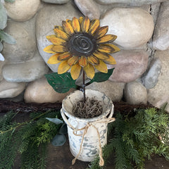 Large Single Stem Sunflower