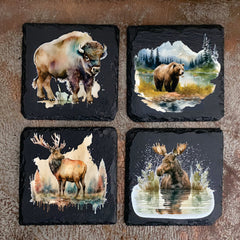 Wildlife Slate Coaster Set