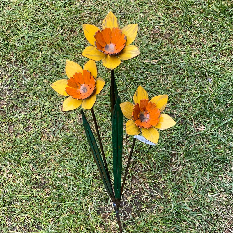 3 Stem Daffodil Stake