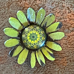 Shasta Daisy Magnet