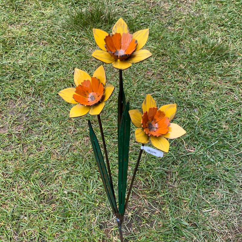 3 Stem Daffodil Stake